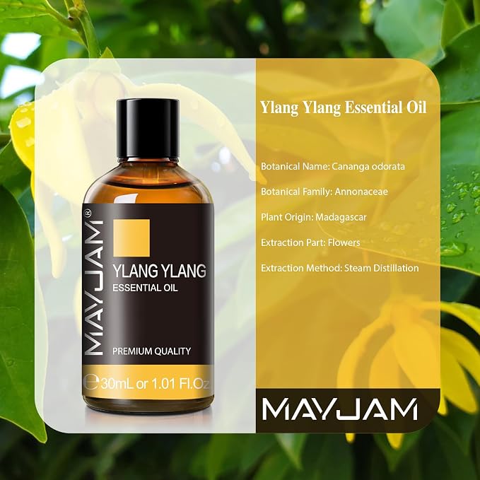 MAYJAM Ylang Ylang Essential Oil for Diffuser Soap Candle Making, 1.01fl.oz | Long Lasting Scents, Ylang Ylang Essential Oil for Skin, Floral Essential Oils for Home Yoga Use