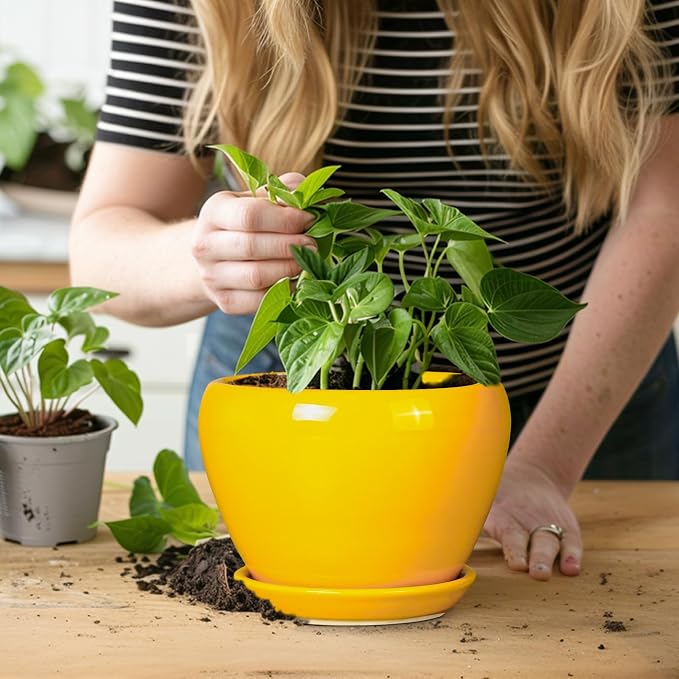 Ceramicfor Ceramic Pot for Plants - 6 Inch Plant Pot Glaze Modern Decorative Round Planter with Drainage Hole and Saucer for Home Patio Room Office House Decor, Yellow