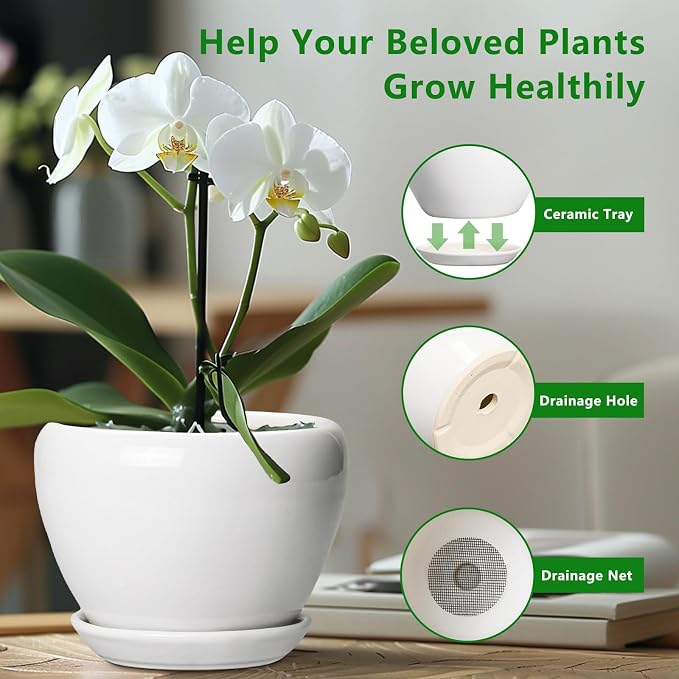 Ceramicfor Ceramic Pot for Plants - 8 Inch Ceramic Planter for Indoor Plants, Modern Round Planter with Drainage Hole and Saucer, Plant Lover Gifts, Home Office Garden Decor, White