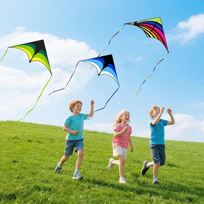 Kites for Kids and Adults, Easy to Fly for Beach, Single Line Kite Set for Beginners