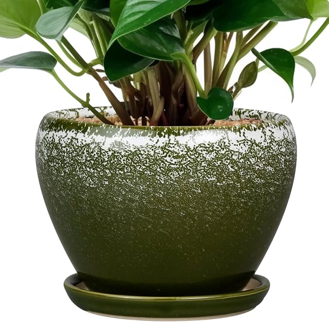 Ceramicfor 6 Inch Plant Pot - Ceramic Planter Pot with Drainage Hole and Saucer, Glaze Succulent Pot Modern Round Flower Pot for Indoor Plants, Dark Green