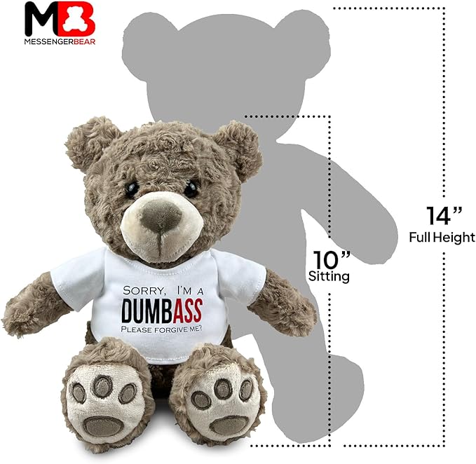 I’m Sorry Teddy Bear 10” Sitting | I Love You Im Sorry Plushie | Im Sorry Gifts for Her Stuffed Animal