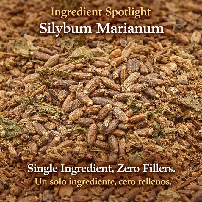 Cardo Mariano Mexican Herbal Tea - 4 oz (113g) - Authentic 100% Natural Milk Thistle Loose Leaf Tea - Wildcrafted, Non-GMO & Caffeine-Free - Traditional Botanical - by BEXPERTSUSA
