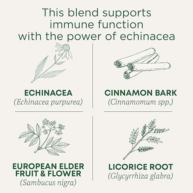 Traditional Medicinals Tea, Organic Immune Zoom Elderberry Echinacea - Supports Immune Function - Kosher, Non-GMO, Caffeine-Free, Compostable - 16 Tea Bags