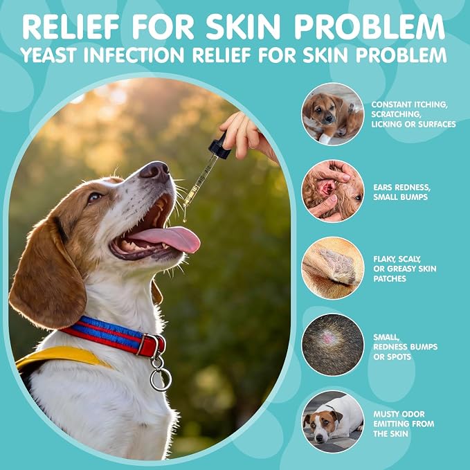 Natural Yeast Infection Treatment for Dogs Relief Itchy Skin & Ear Treatment - Reduces Irritation & Relieves Itching and Allergy for Puppies & Adult Dogs