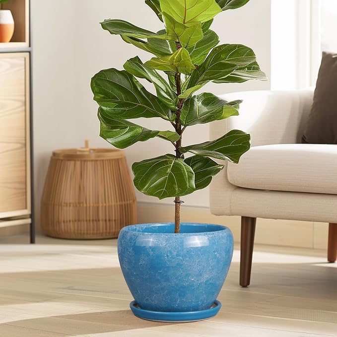 Ceramicfor Ceramic Planter - 8 Inch Plant Pot with Drainage Hole and Saucer, Glaze Round Flower Pot for Home Garden Patio Office, Blue