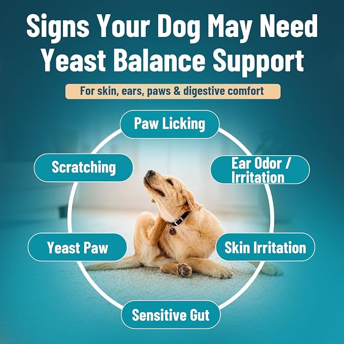 VICSOM Natural Dog Yeast Infection Treatment for Dogs, Itchy Skin & Ear Treatment Natural Support Allergy Relief, Dog Yeast Infection Relief, Support Irritation, Itching & Inflammation 60ml