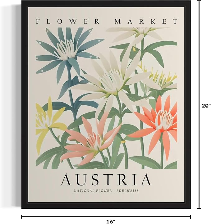 Austria, Edelweiss Art Print Poster, Flower Market Wall Art, Floral Artwork Decor for Bedroom, Kitchen, Bathroom, Livingroom Decoration 52 (Austria, Edelweiss, 20" L x 16" W, Unframed)
