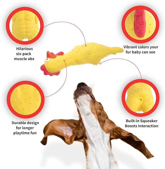 100% Natural Latex Squeaky Dog | Durable Rubber Chicken Chew Toy for Small & Large Dogs | Funny Screaming Chicken | Safe & Interactive Toy for Play, Teething and Boredom | Tough Design