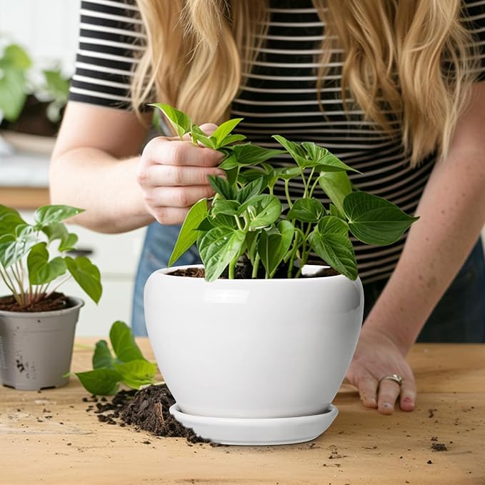 Ceramicfor Ceramic Pot for Plants - 6 Inch Plant Pot for Succulent Plants, Glaze Modern Round Planter with Drainage Hole and Saucer, Gifts for Plant Lovers, Home Office Patio Room Decor, White