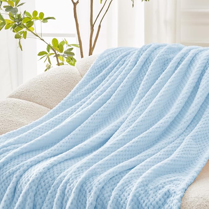 Exclusivo Mezcla Large Waffle Fleece Throw Blanket for Couch, Light Blue | Lightweight Soft Blanket for Sofa, Bed, Living Room, Plush Fluffy Throw for Home Decor, Travel, All Season, 50x70 Inches