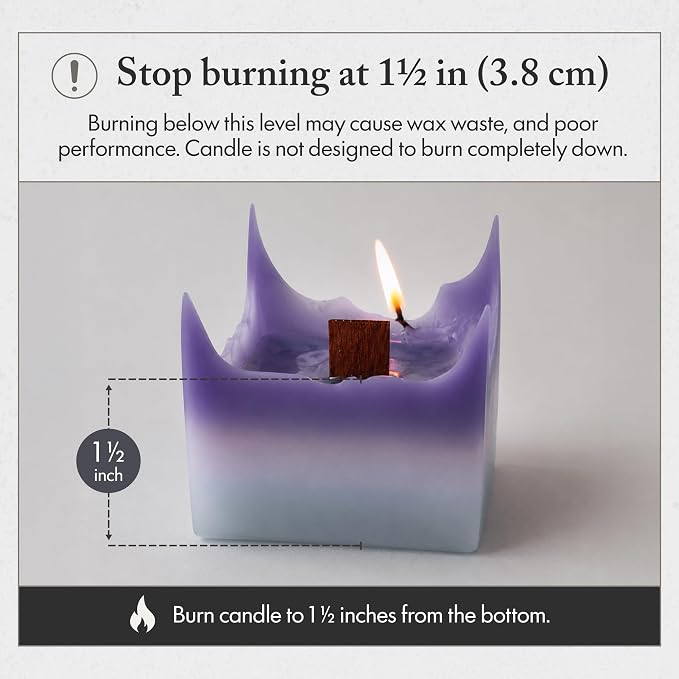 Spiral Candle - Unique Scented Soy Wax Candle with Spiral Burning Design, Handcrafted Gift Ready Decorative Candle for Home Decor, Gift & Cozy Room Ambiance (Grapevine Scent) - LUMINORA