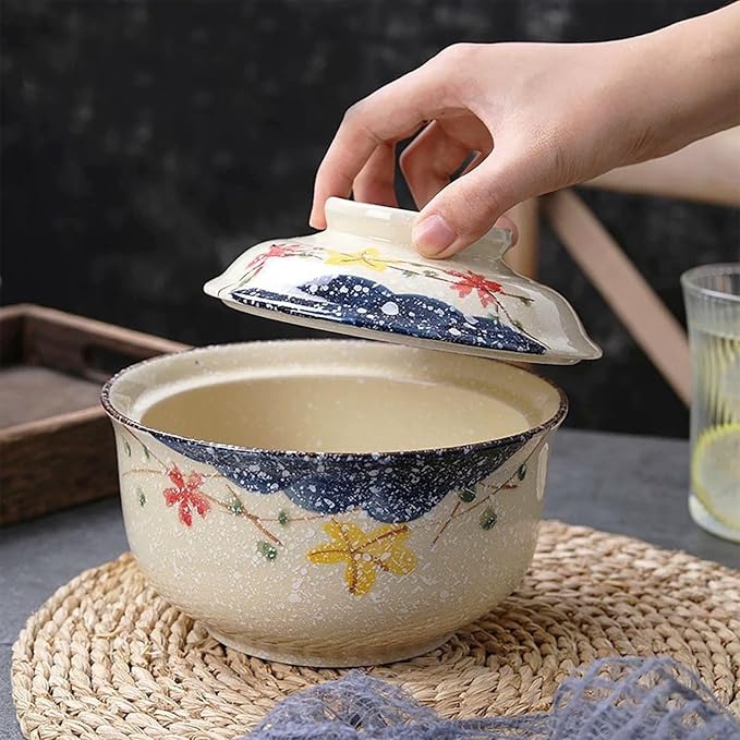 Ceramic Ramen Bowl with Lid, 25 Oz Big Bowl for Noodle, Soup, Porridge and Rice, Japanese Style, Korean Clay Pot, Oven, and Microwave Safe (Pattern C)