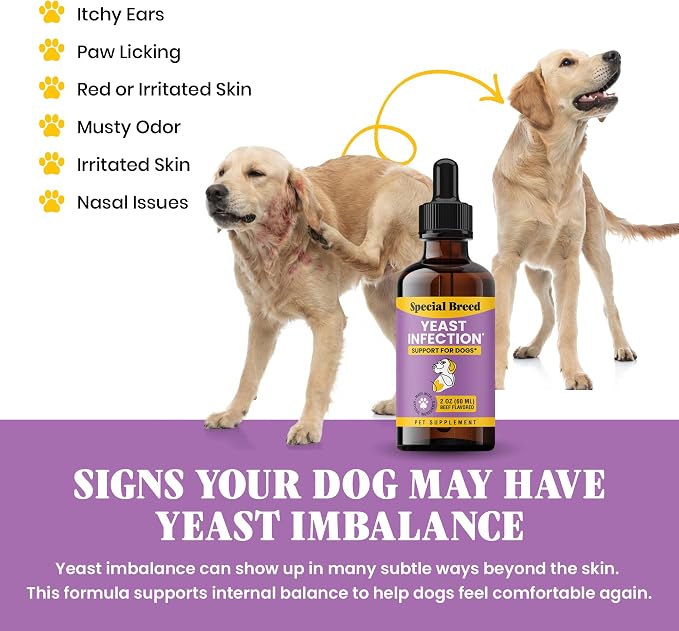 Natural Yeast Infection Relief for Dogs – Itchy Skin & Ear Treatment, Supports Allergy & Immune Health, Reduces Itching, Irritation & Inflammation, Liquid Drops, 8oz