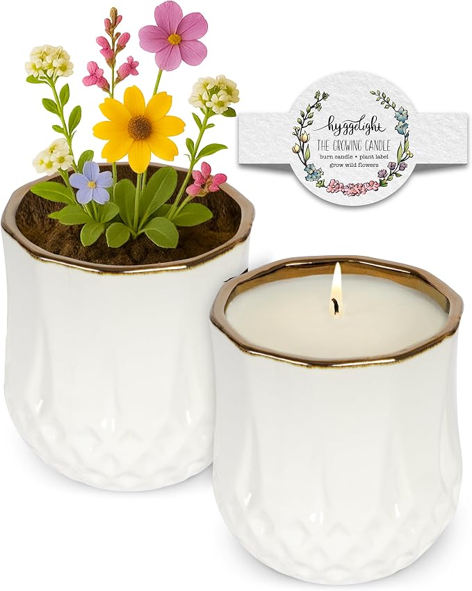 Hyggelight - The Growing Candle, Juniper & Citronella Scent, 9oz Ceramic Pot, Aromatherapy Candles, Gift for Outdoors, 100% Soy, Astrid