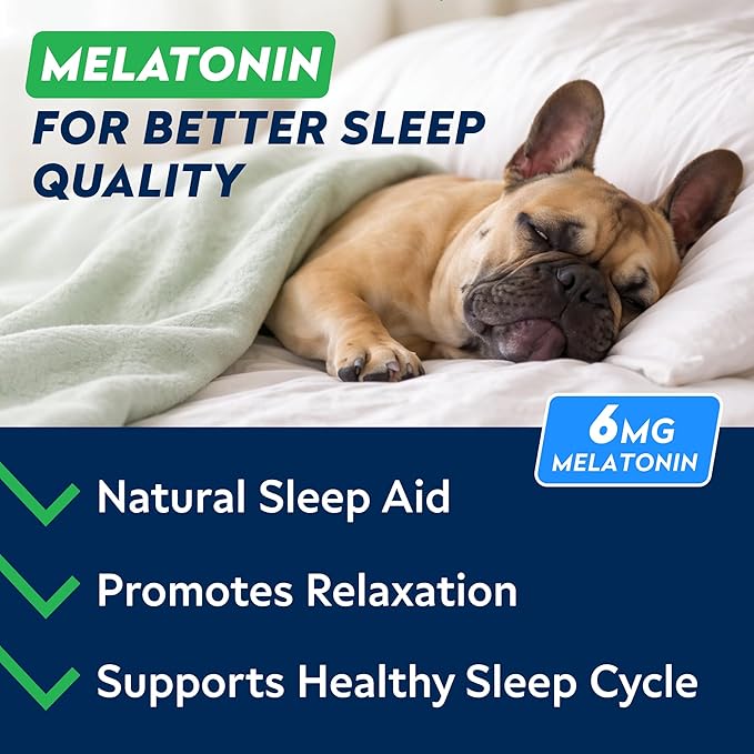 STRELLALAB Melatonin for Dogs to Sleep 6mg - Doggie Sleep Aid Treats - Sleeping Pills for Anxiety - Extra Strength Calming Chews Large & Small Breed Help Sleep at Night - Made in USA - 60Ct