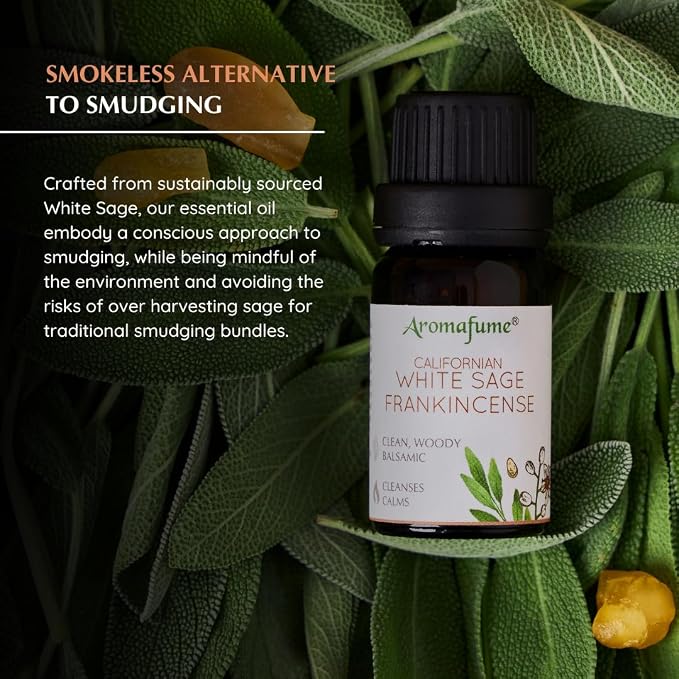 White Sage & Frankincense Essential Oil Diffuser Blend by Aromafume | 3x10ml/0.33 fl oz | Aromatherapy oil for cleansing negative energy, protection | Ethically sourced sage oil for smokeless smudging
