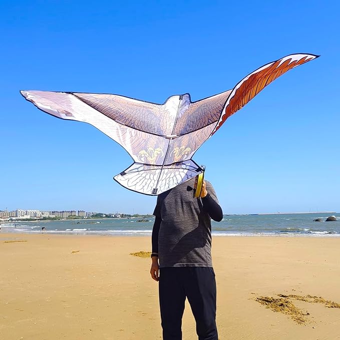 Kites for Kids and Adults, Easy to Fly for Beach, Single Line Kite Set for Beginners