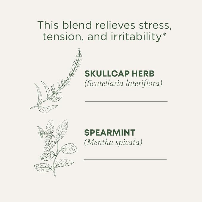 Traditional Medicinals Organic, Stress Ease Tension Relief, Lemon Verbena Mint Tea - Supports Stress Relief - Kosher, Non-GMO, Caffeine-Free, Compostable - 16 Count (Pack of 2)