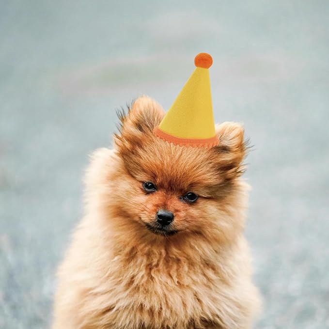 Dog Birthday Hat Set for Small Medium Dogs Cat Puppies, Mini Party Hat with Adjustable Headbands, Cute Pet Hat with Pompons for Birthday Christmas Party Decoration Accessories (Mini 2.5 inch 10pcs)