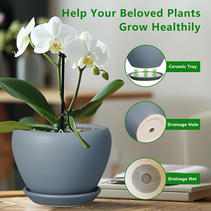 Ceramicfor Ceramic Pot for Plants - 6 Inch Plant Pot Indoor with Drainage Hole and Saucer Decorative Planter for Outdoor Plants Modern Succulent Pots Round Flower Pots Gray