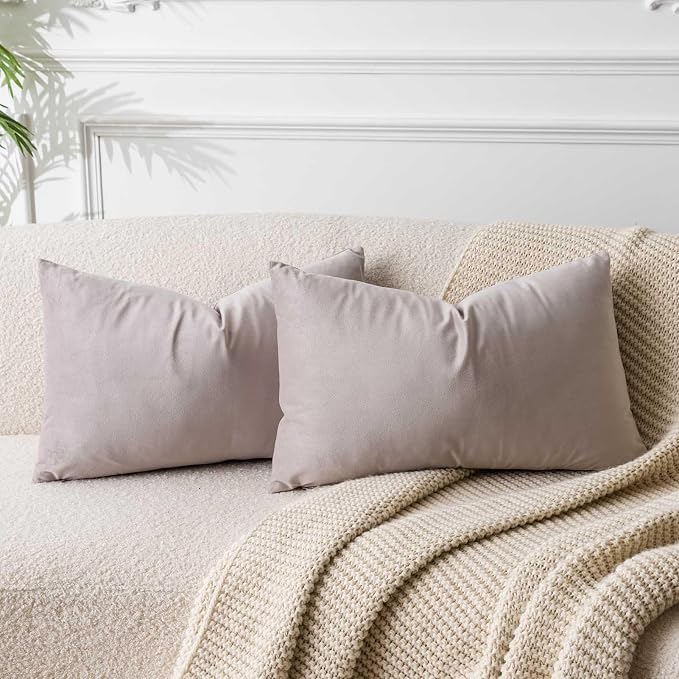 14x24 Velvet Throw Pillow Covers Set of 2 for Couch Bed Sofa,Champagne | Decorative Soft Pillow Covers with Invisible Zipper for Couch Sofa Bed Living Room Bedroom Home Decor
