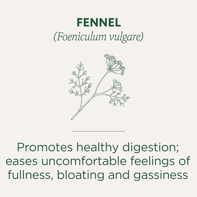 Traditional Medicinals Tea, Organic Fennel, Promotes Healthy Digestion, 16 Tea Bags (Pack of 2)