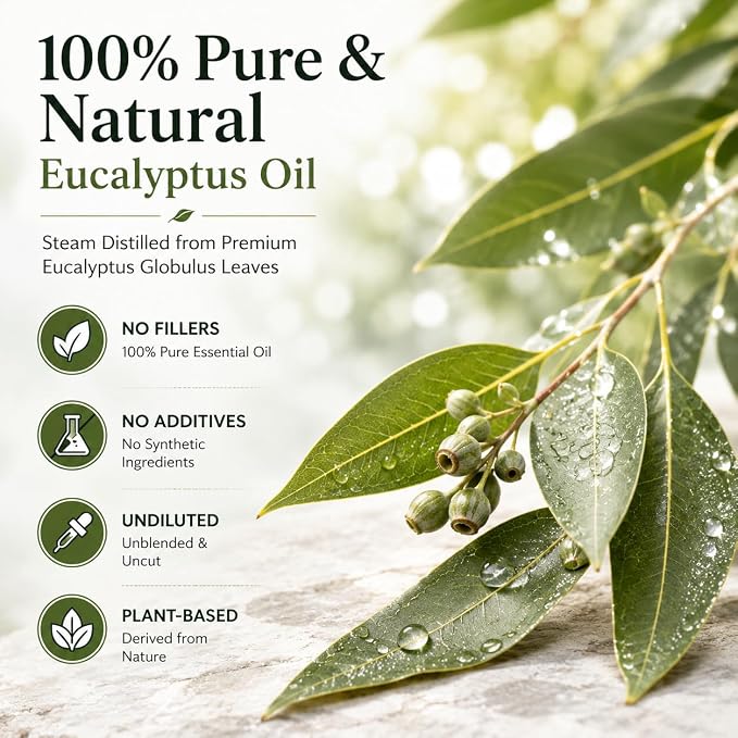 GreenHealth Eucalyptus Essential Oil – 1 fl oz (30 ml) Amber Glass Bottle w/Euro Dropper – 100% Pure Essential Oil