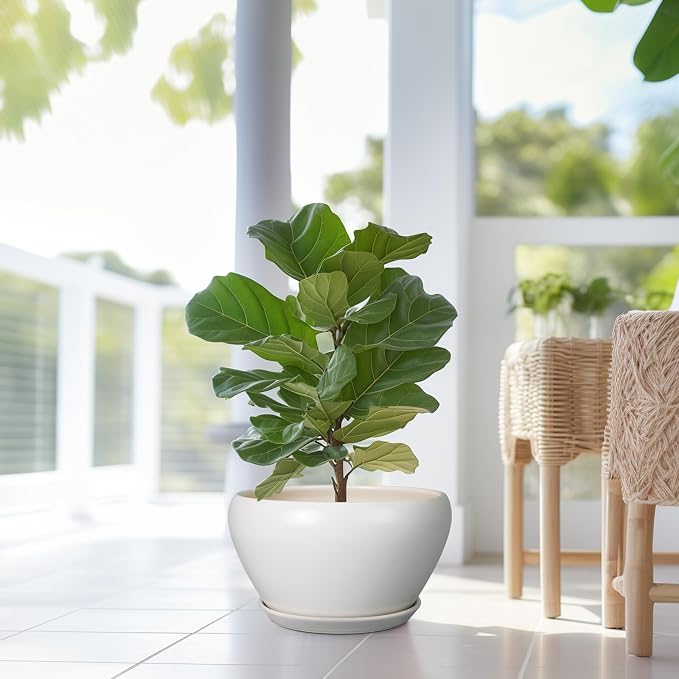 Ceramicfor Planter for Indoor Plants 13 Inch - Ceramic Plant Pot with Drainage Hole and Saucer Decorative Round Large Planter Pot for Plants Outdoor Flower Pot for Room Decor White