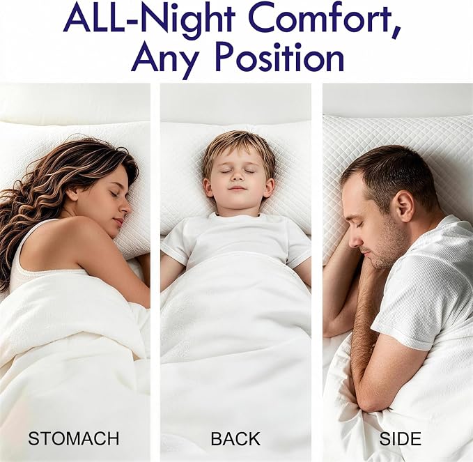 HITO Hotel Pillows Bed Pillows Queen Size Set of 2-100% Virgin Material Down Alternative Pillow - Soft Support for Back, Stomach, Side Sleepers