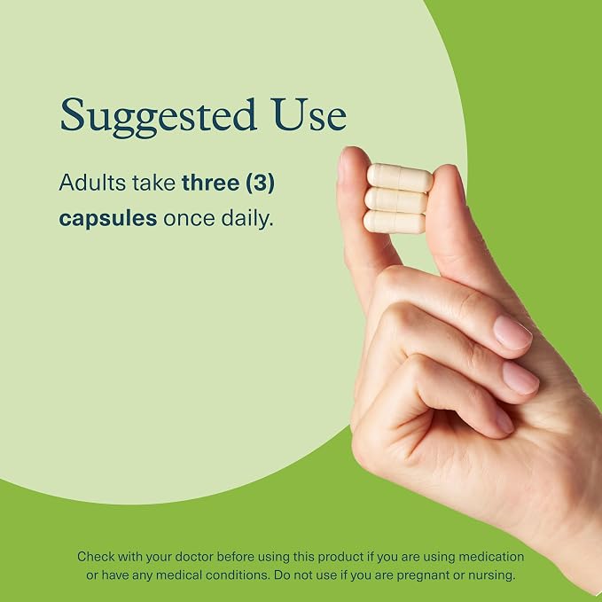 Youtheory Mushroom Stress Complex - 60 Vegetarian Capsules (20 Day Supply) - Organic Full-Spectrum Mushroom Blend with L-Theanine - Supports Immune System & Gut Health*- Supports Mental Calmness*