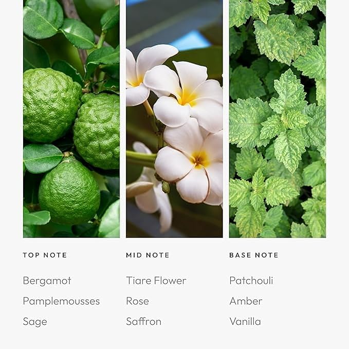 Aroma360 | Black Diffuser Oil Blend | Luxury Essential Aromatherapy Reed Diffuser | Sage, Tiaré Flower and Saffron | 16.9 fl oz 500mL