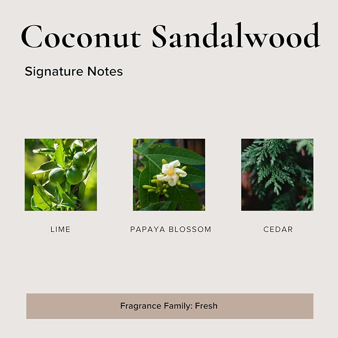 Broken Top Coconut Sandalwood Pure Soy Candle | 9 oz. | Lime, Papaya & Cedar. 50-Hour Burn Time. Natural Cotton Wick, Vegan, No Parabens, No Phthalates
