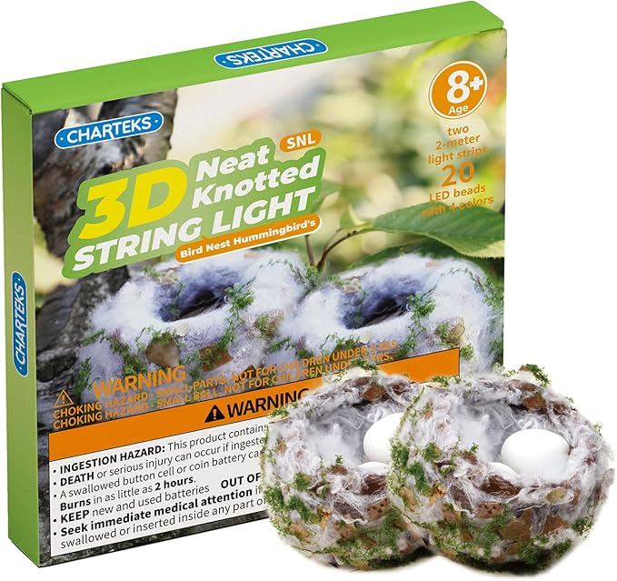 CHARTEKS Bird Nest Craft Kit with LED String Lights - DIY Nature Arts and Crafts STEM Project for Kids & Adults, Creative Home Decor Gift for Boys Girls Ages 8-12