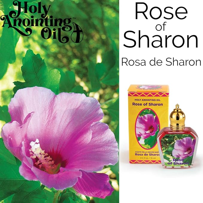 Rose of Sharon Holy Land Anointing Oil from Israel, 1/2 oz Roller Bottle from Jerusalem, Locally Sourced Essences, Gift for Pastors, Priests, Rabbi, & Clergy, Aceite Ungido de Rosa de Sharon