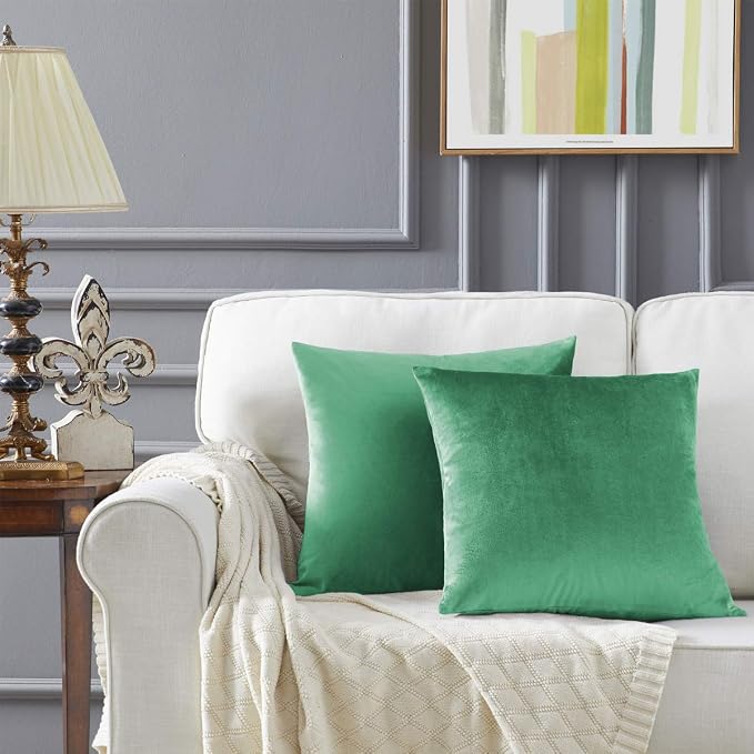 GIGIZAZA Mint Turquoise Velvet Decorative Throw Pillow Covers for Sofa Bed 2 Pack Soft Cushion Cover