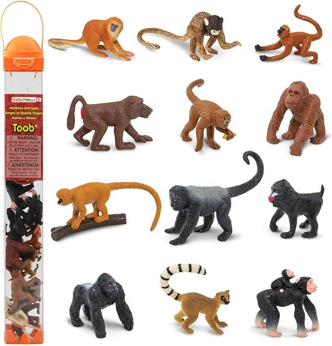 Safari Ltd. Apes & Monkeys TOOB - 12 Figurines: Baboon, Orangutan, Tamarin, Lemur, Gorilla, Mandrill, Chimp, Squirrel, Spider, & Woolly Monkeys - Educational Toy Figures For Boys, Girls & Kids Ages 3+