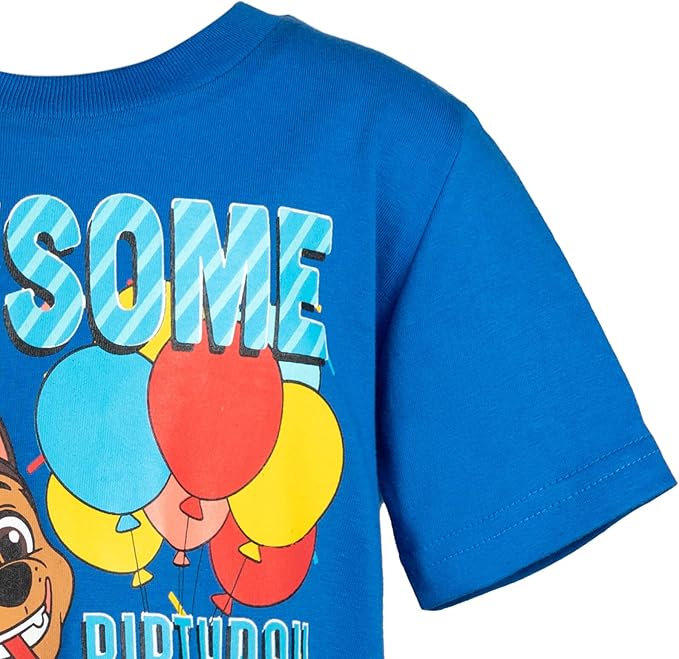 Paw Patrol Birthday T-Shirt Toddler to Little Kid Sizes (2T - 7-8)