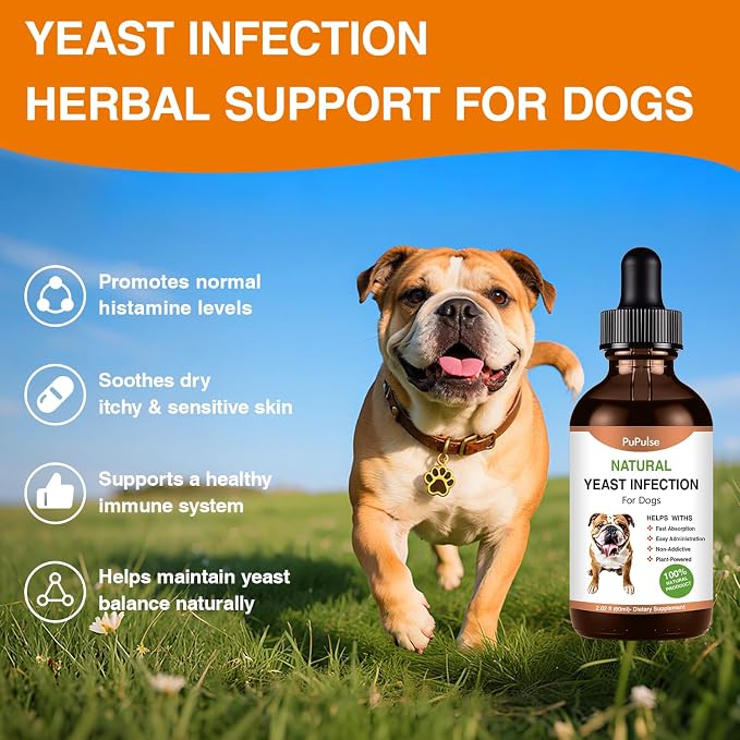 Yeast Infection Treatment for Dogs, Naturally Dog Itch Relief, 2 fl oz | Ear Infection Treatment, Dogs Allergy Relief, Inflammation Relief & Allergy Relief More
