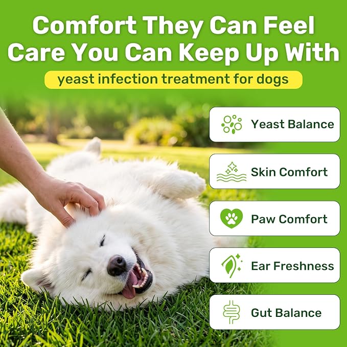 Puyrzoe Yeast Infection Treatment for Dogs, Itchy Skin, Paw Licking, Ear Odor & Allergy Relief, Natural Dog Yeast Infection Treatment, 200 Soft Dog Yeast Treatment Chews with Probiotic, Chicken Flavor