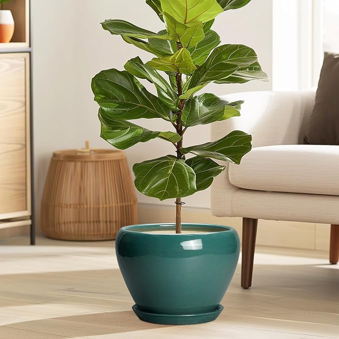 Ceramicfor 8 Inch Plant Pot - Ceramic Planter for Indoor Outdoor Plants, Glaze Modern Round Ceramic Flower Pot with Drainage Hole and Saucer, Gifts for Plant Lover, Home Office Patio Decor, Green