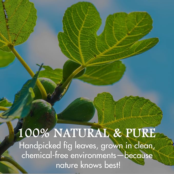 Cure Wid Pure – Certified Organic Fig Leaves 2oz – Non-GMO Hoja de Higo in Eco-Friendly Resealable Bag for Herbal Infusions – Antioxidant-Rich Fig Leaves Tea for Digestion,Circulation & Relaxation