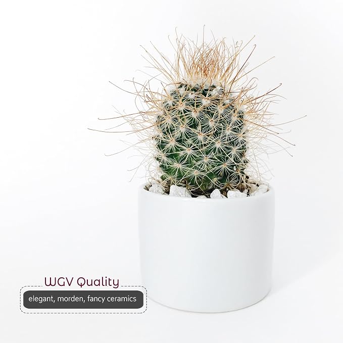 WGVI Matte White Ceramic Cylinder Vase Width 5.5" Height 5", Flower Arrangements, Candle Holder, Terrarium Planter Pot, Storage Container Organizer, Pen Brush Holder, Tabletop Decor, Bulk, 6 Pcs