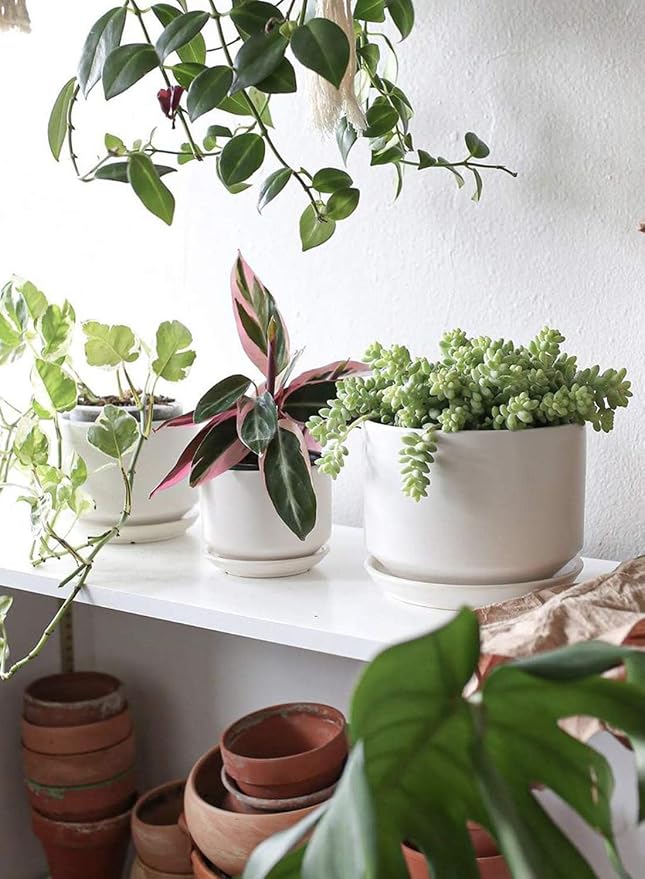 LE TAUCI Ceramic Pots for Plants, 4.3+5.3+6.8 Inch Plant Pots, Indoor Planters with Drainage Hole and Saucer for Succulents, Herbs and Flowers, Set of 3, Satin, White