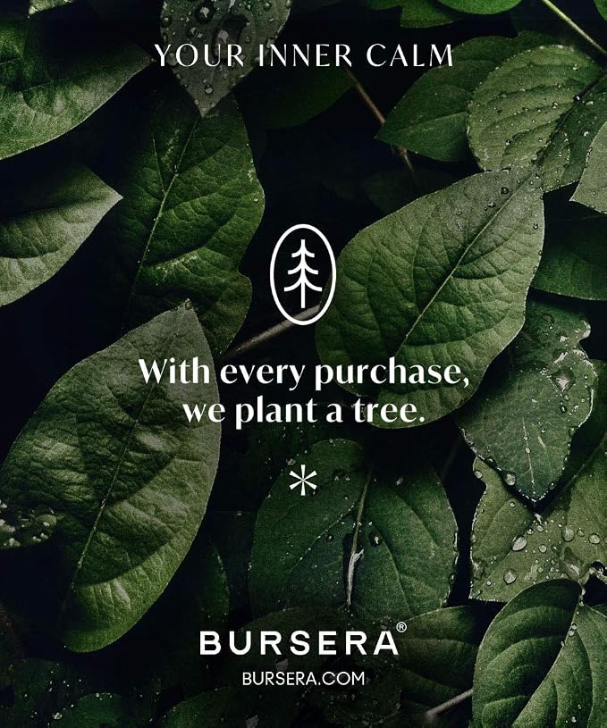 Bursera Tea Tree Essential Oil, Tree Planted with Every Order, 100% Pure Australian Tea Tree Oil, 10ml Undiluted High Grade Natural Tea Tree Oils for Diffuser, Shower, Skin and Aromatherapy