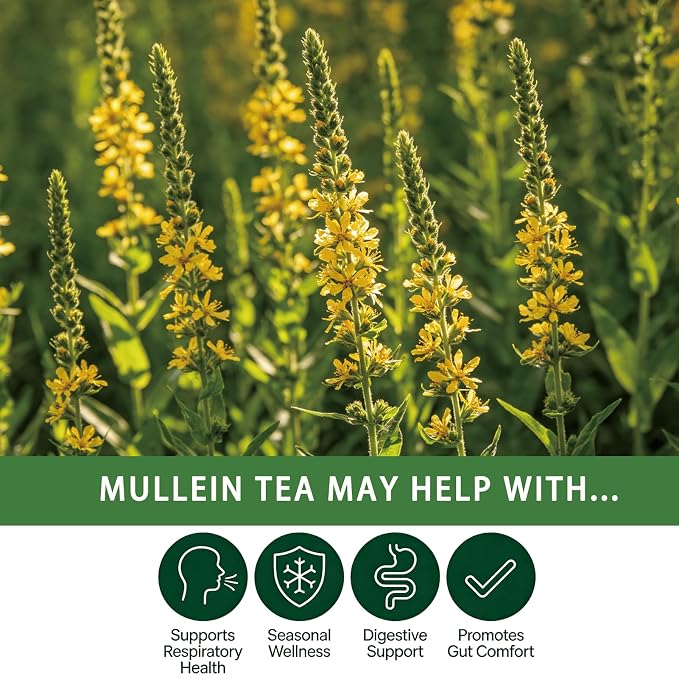 Samcci - Mullein Tea Bags, 20 Teabags, 3g/bag, 100% Pure Mullein Tea Bags for Lungs Cleanse, Natural Herbal Tea Bags, Caffeine Free & No Additives Mullein Leaf Tea for Detox & Respiratory Support