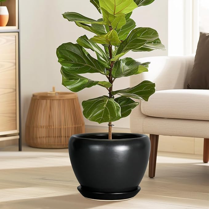 Ceramicfor Ceramic Pot for Plants - 10 Inch Plant Pot Indoor with Drainage Hole and Saucer Large Planter Decorative Planter Modern Outdoor Flower Pot for House Balcony Black