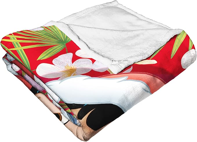 Northwest Lilo and Stitch Silk Touch Throw Blanket, 50" x 60", Santa Stitch