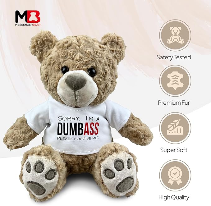 I’m Sorry Teddy Bear 10” Sitting | I Love You Im Sorry Plushie | Im Sorry Gifts for Her Stuffed Animal