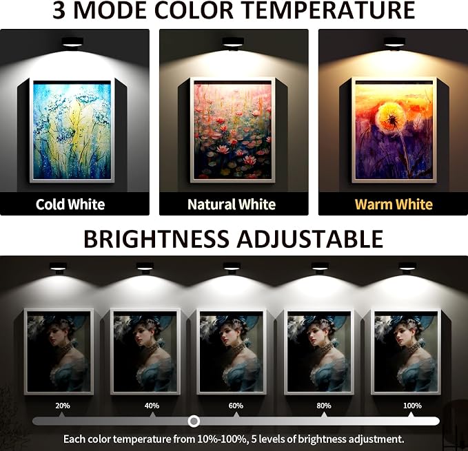 Tututry 3-Pack Battery Operated Picture Light, Magnetic Painting Light with Remote, Dimmable Timer & 3 Modes, Art Display Light for Wall Art, Picture Frame, Portrait, Canvas Decor (Black)
